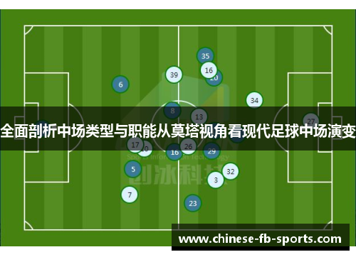 全面剖析中场类型与职能从莫塔视角看现代足球中场演变