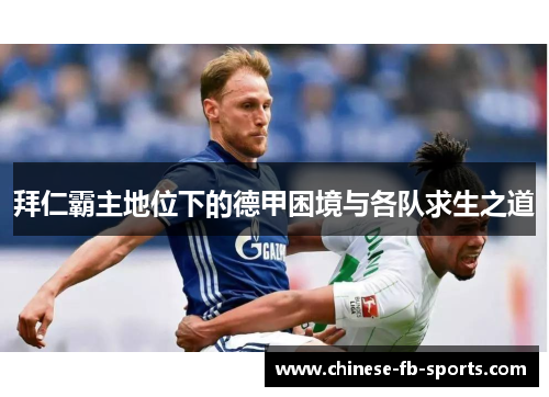 拜仁霸主地位下的德甲困境与各队求生之道 拜仁霸主地位下的德甲困境与各队求生之道