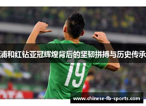 浦和红钻亚冠辉煌背后的坚韧拼搏与历史传承