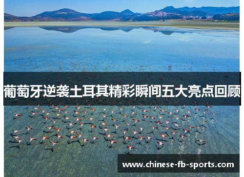 葡萄牙逆袭土耳其精彩瞬间五大亮点回顾