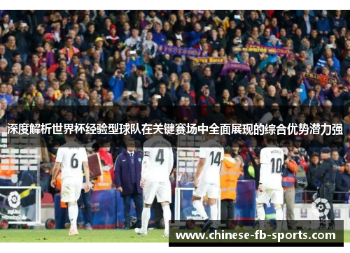 深度解析世界杯经验型球队在关键赛场中全面展现的综合优势潜力强